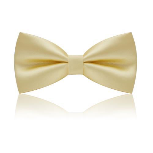 Men's Accessories Bow Tie Golden 3 Color