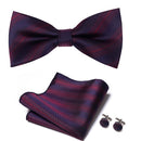 Conjunto de accesorios morado para hombre