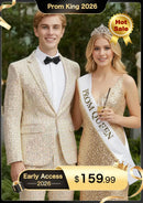 Men’s 2-Piece Linen Sparkle Gridline Champagne Tuxedo